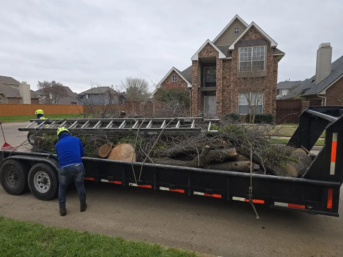 Expert Lot Clearing with proper safety equipment in Burt